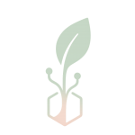 Ivy_main_logo_transparent